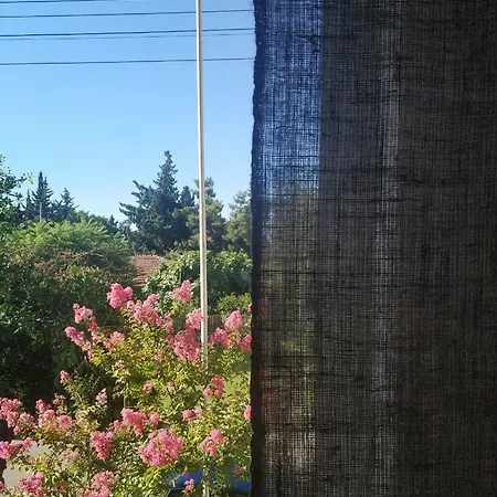 El Mundo Homestay *